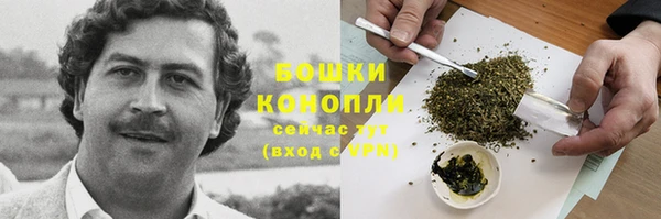 трава Каменногорск