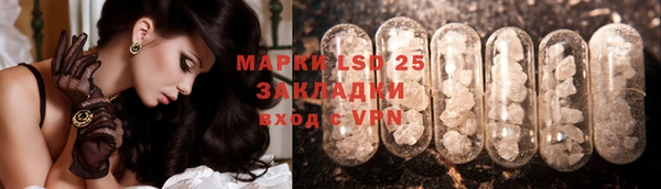 спайс Каменка