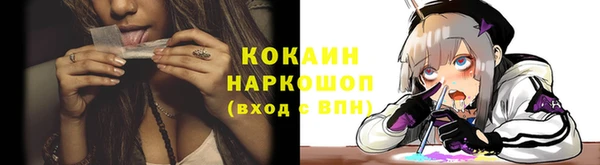 спайс Каменка