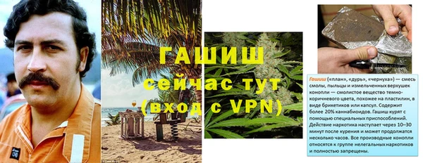 спайс Каменка
