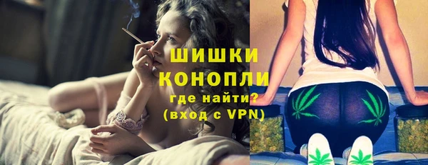 спайс Каменка