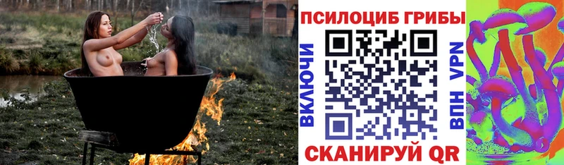 Купить закладки  Кадников  Галлюциногенные грибы Cubensis 