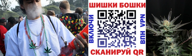 Купить где  Кадников  Конопля планчик 